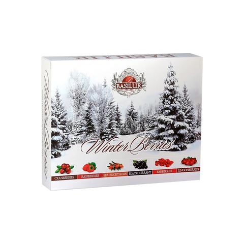 Winter Berries Assorted Display Gastro Tea leaves 60x2g